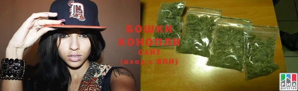 стафф Богданович