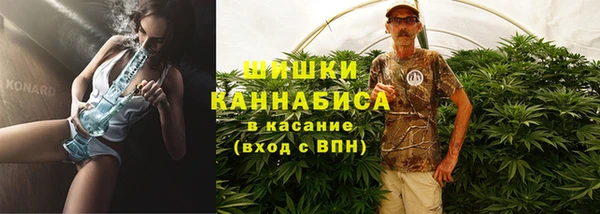 стафф Богданович
