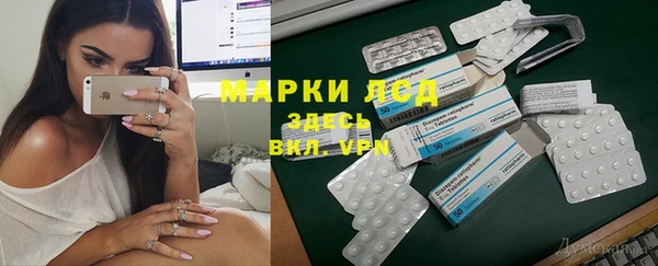 стафф Богданович